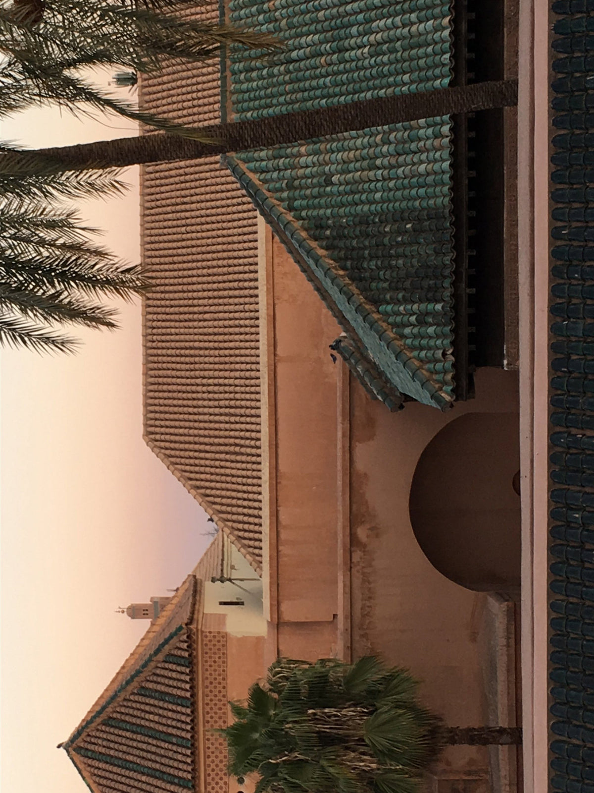 Marrakesh dreaming