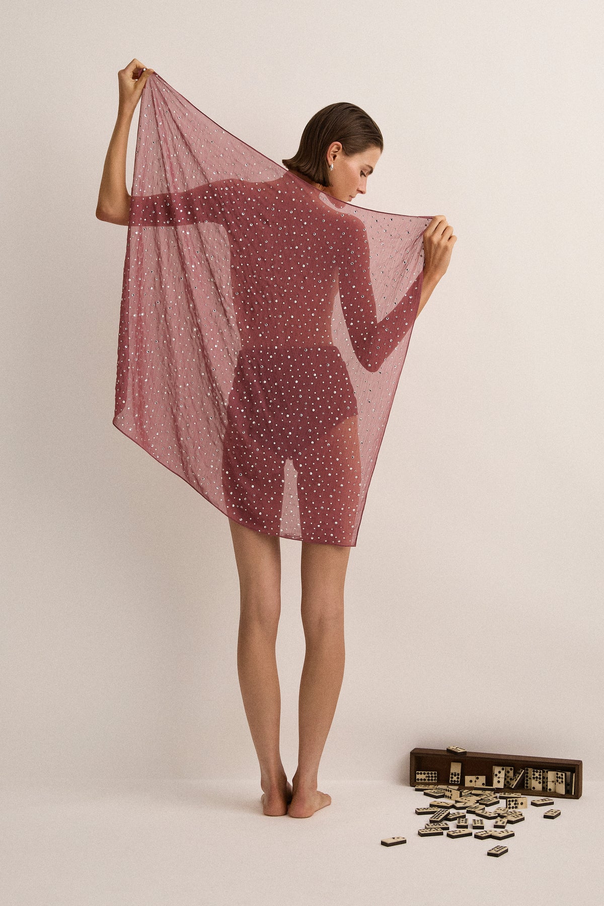 Crystal Embellished Scarf - Plum